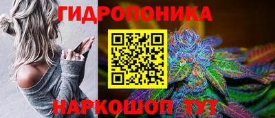 бошки Донской