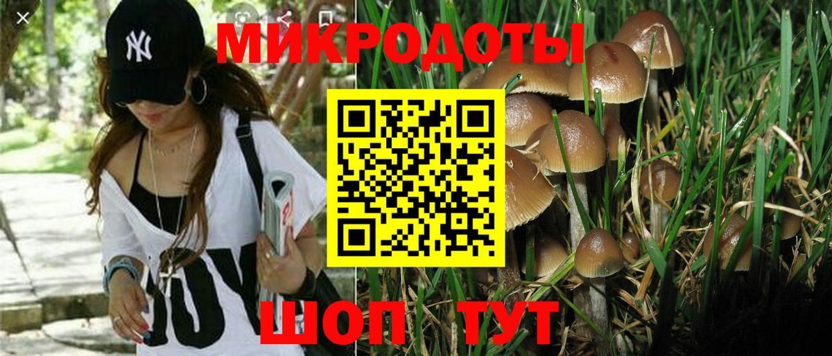 Галлюциногенные грибы MAGIC MUSHROOMS Кинешма